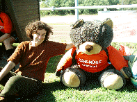 welches ist der Teddy?